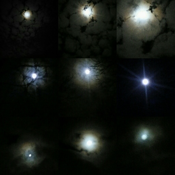 Meet The Posher - Picture 4 of 7